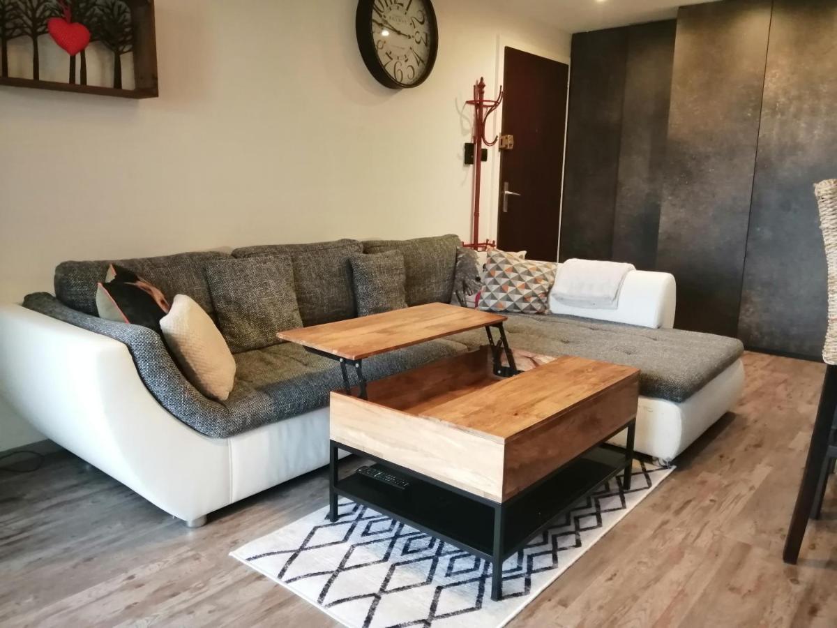 Apartment ❊ L'ecrin Selestadien ❊ Selestat